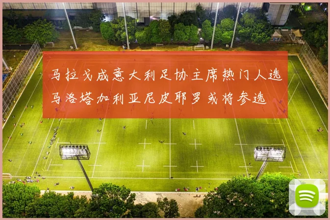 马拉戈成意大利足协主席热门人选马洛塔加利亚尼皮耶罗或将参选